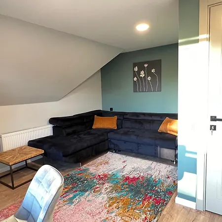 Comfort Паланга