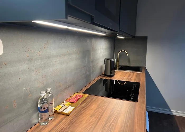 Comfort Apartman Palanga