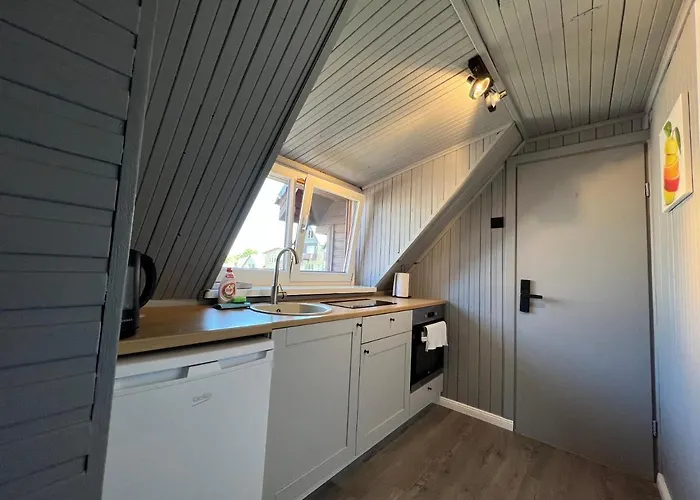 Comfort Паланга