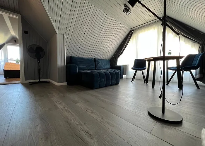 Comfort Apartman Palanga