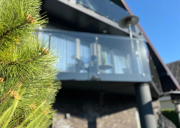 Comfort Паланга