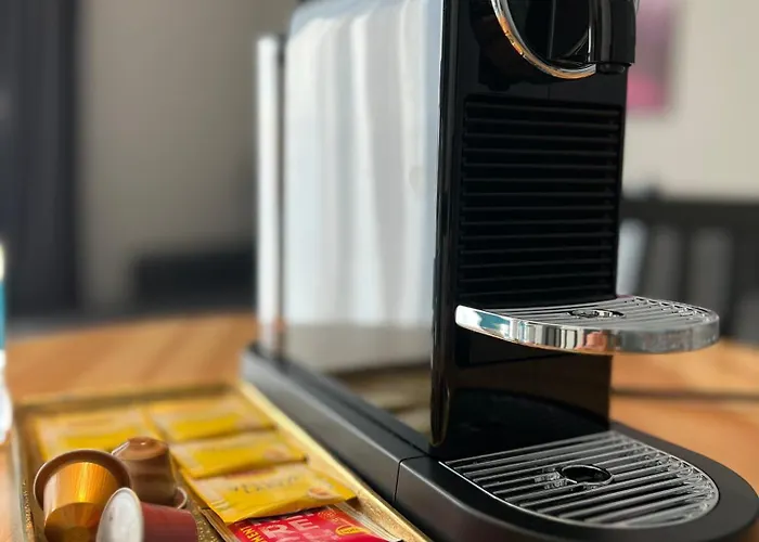 Comfort Lejlighed Palanga